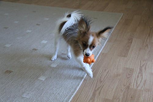 Playufulspirit קופצני מכובד קופצני כדור גומי מוצק - צעצוע לעיסה נהדר לגורי בקיעת שיניים ומשחקים מדהימים לכלבים קטנים יותר, בגודל בינוני,