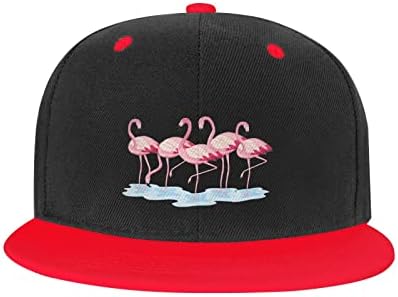 כובע בייסבול היפ הופ של פלמינגו פאנק, כובע סנאפבק מתכוונן לילד כובעי כובעי שוליים שטוחים