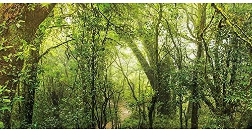 Awert יער עמוק חריף רקע יער גשם רקע אקווריום שמש ערפל עצים ענקיים עצים זוחלים רקע בית גידול 24x12 אינץ 'ויניל