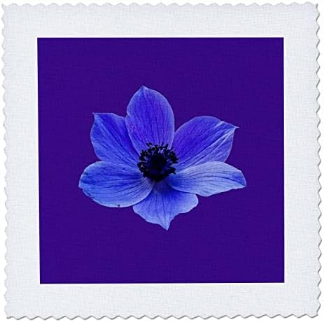 3 ורוד כחול לילך כלנית פרחי בר וקטור - ריבועי שמיכה