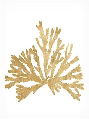 אמנות סימן מסחרי 'פסיפיק ים טחב מוסס IV זהב' אמנות בד על ידי תיק תפוחים פראי